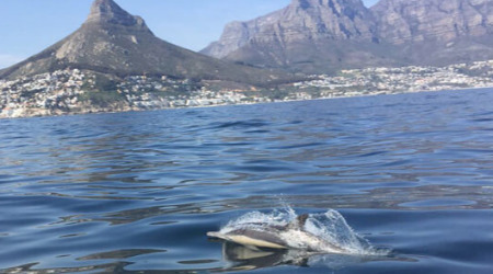 Marine Big 5 Ocean Safari Tour